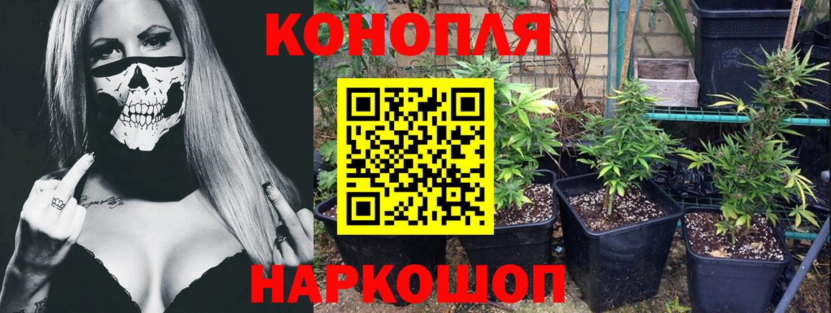 Сызрань  Конопля VHQ  Вход с VPN  Конопля Bruce Banner  МАРИХУАНА VHQ 